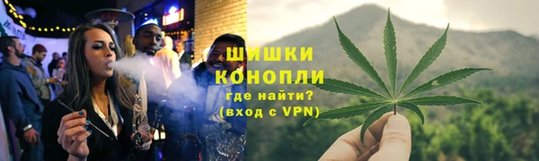 прущие грибы Остров