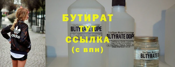 индика Осинники