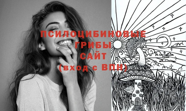 индика Осинники