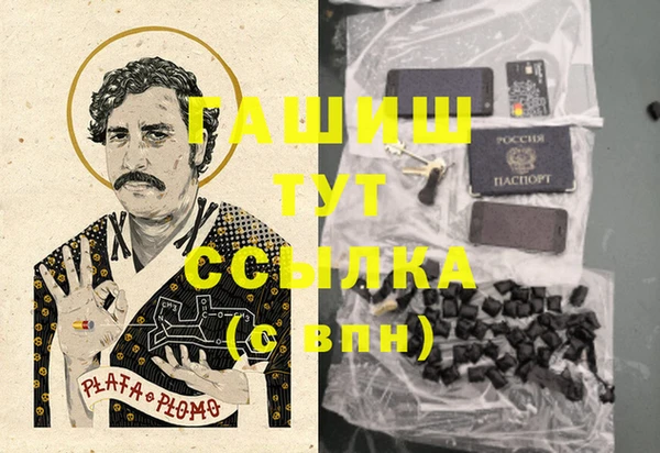 индика Осинники