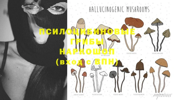 прущие грибы Остров