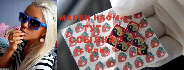 индика Осинники